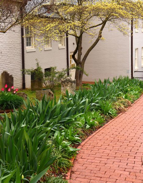 Brick Flatwork Repair in Burnsville